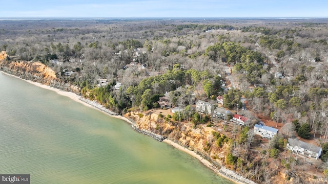 bird's eye view featuring a water view and a view of trees