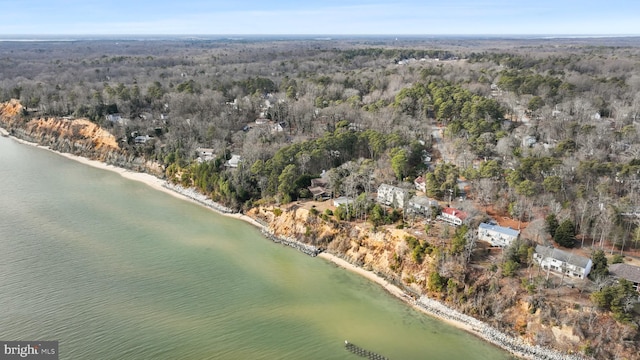 drone / aerial view with a water view and a wooded view