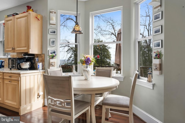 dining room with baseboards and wood finished floors