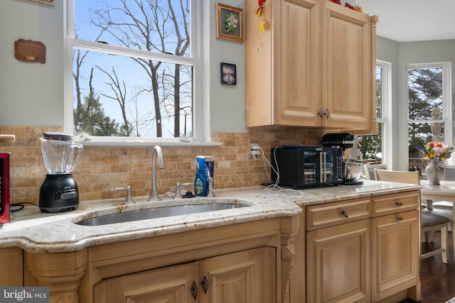 kitchen featuring a healthy amount of sunlight, a sink, and light brown cabinets