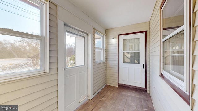 entryway featuring dark hardwood / wood-style flooring, wooden walls, and a healthy amount of sunlight