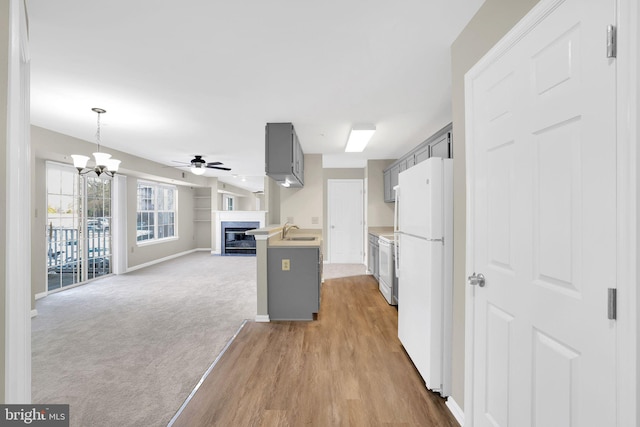 kitchen featuring ceiling fan with notable chandelier, sink, gray cabinetry, light carpet, and white appliances