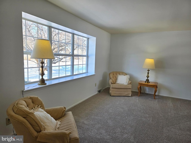 sitting room with carpet flooring