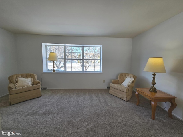 living area featuring carpet flooring