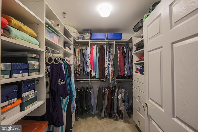 spacious closet with light colored carpet