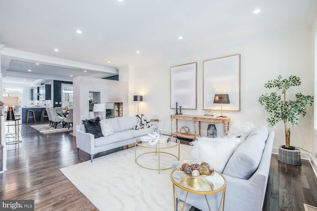 living room featuring dark wood-type flooring