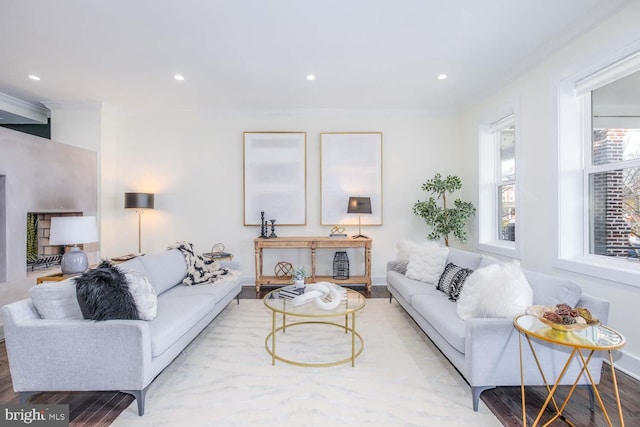 living room with light hardwood / wood-style flooring