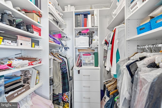 view of walk in closet