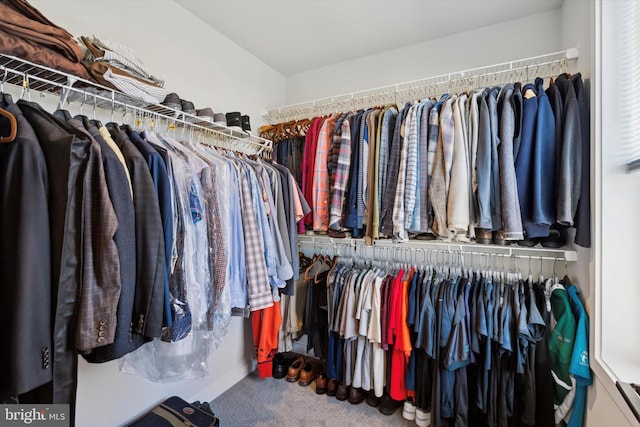 spacious closet with carpet floors