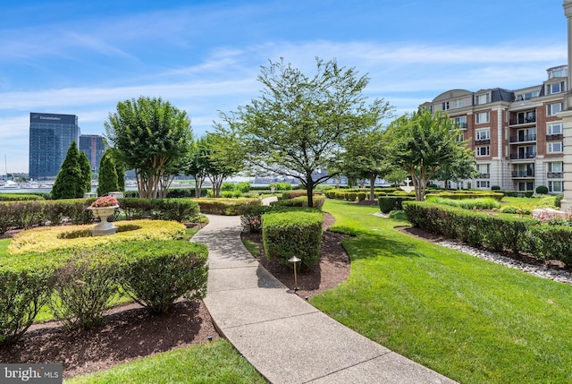 view of home's community featuring a yard