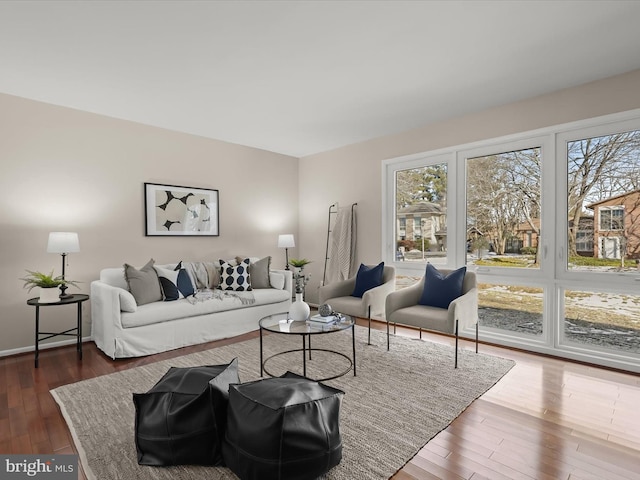 living room with dark hardwood / wood-style floors