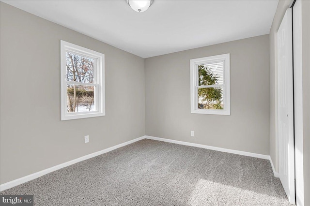 empty room with carpet flooring and a wealth of natural light