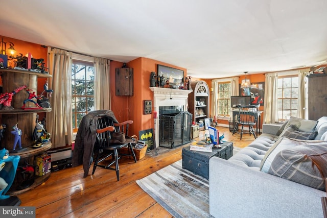 living room with hardwood / wood-style floors