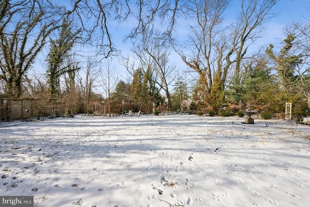 view of yard layered in snow