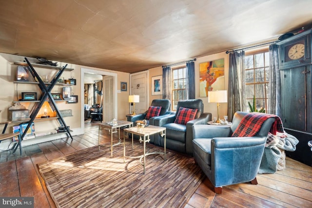 living room featuring hardwood / wood-style floors