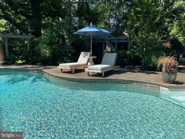 view of pool featuring a patio area