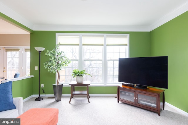 carpeted office with crown molding and baseboards