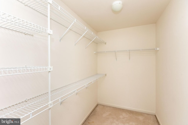 walk in closet featuring light colored carpet