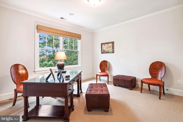 office area featuring ornamental molding and carpet