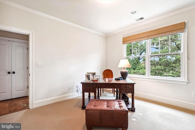 carpeted office space with ornamental molding