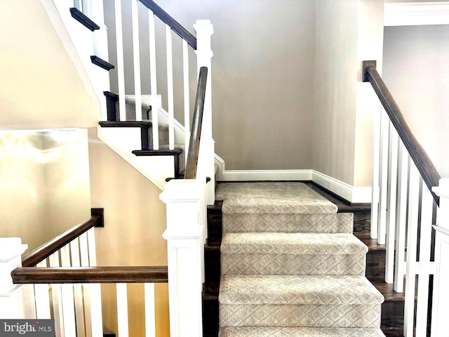 staircase featuring hardwood / wood-style floors