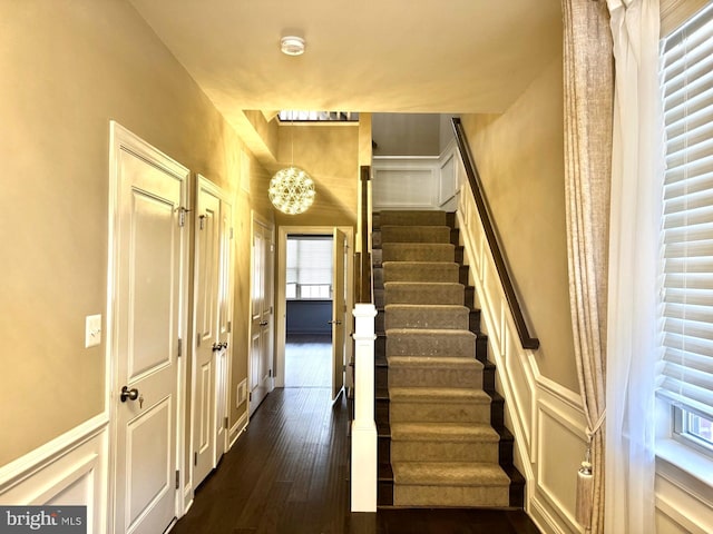 stairway featuring hardwood / wood-style floors