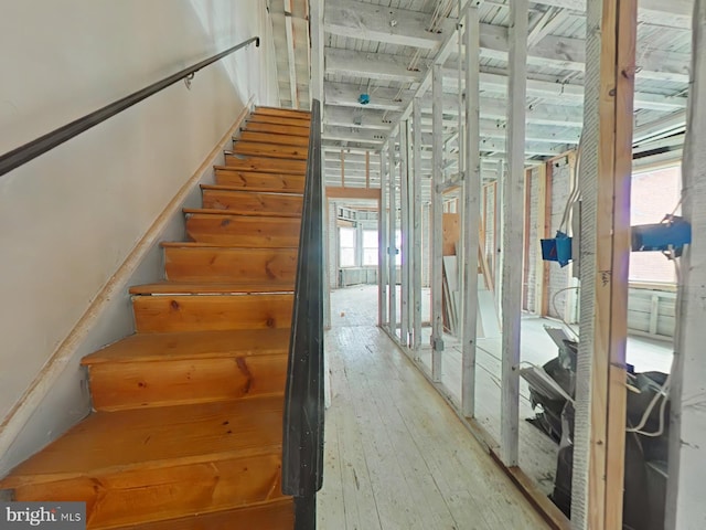 stairway with wood-type flooring