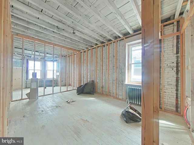 misc room featuring plenty of natural light and radiator