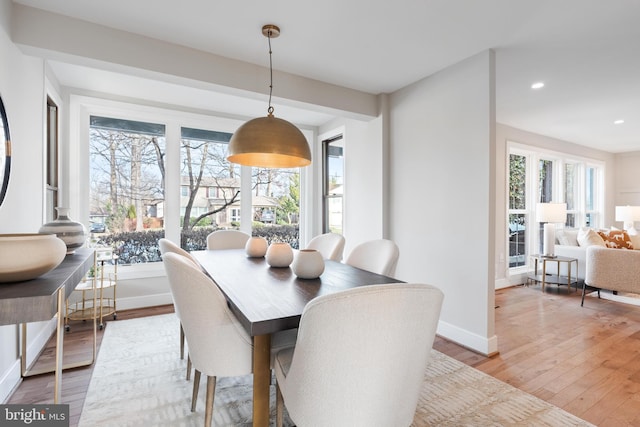 dining room with light hardwood / wood-style floors