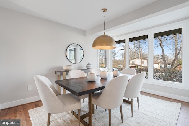 dining space with light hardwood / wood-style floors