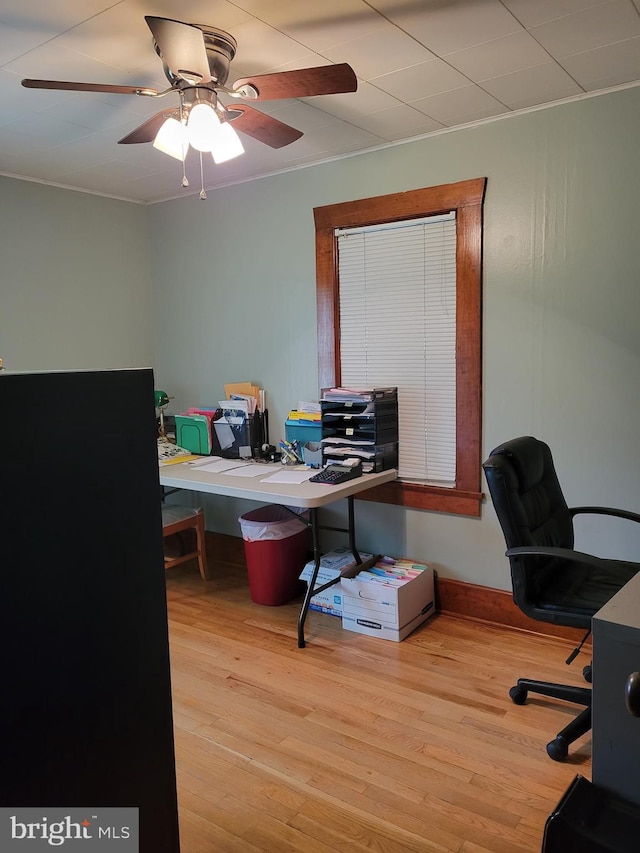 home office featuring ceiling fan and light wood-type flooring