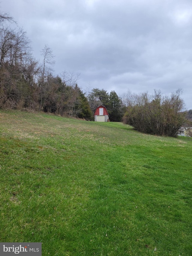 view of yard featuring a storage shed