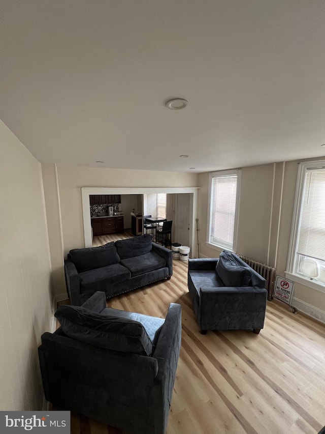 living room featuring light wood-type flooring