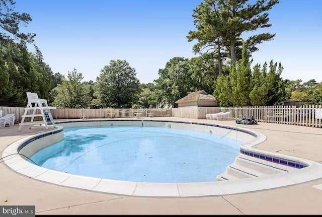 view of swimming pool with a patio area