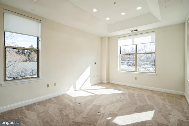 carpeted spare room featuring a healthy amount of sunlight and a tray ceiling