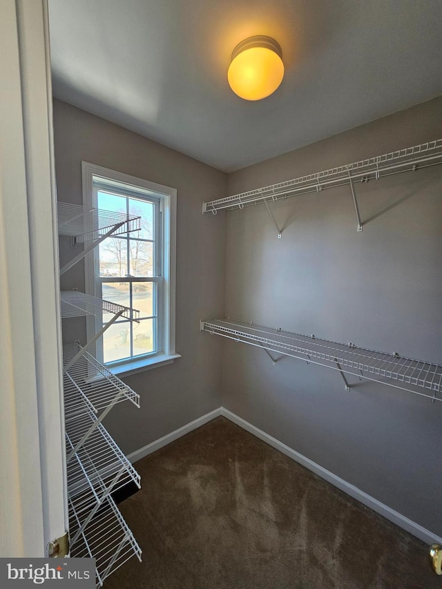 spacious closet featuring dark colored carpet