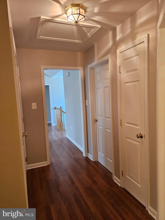 corridor with dark hardwood / wood-style floors