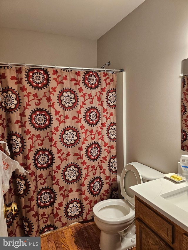 bathroom featuring vanity, hardwood / wood-style flooring, and toilet