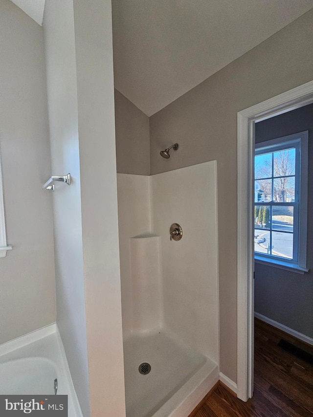 bathroom featuring walk in shower and hardwood / wood-style floors