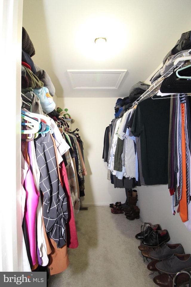 spacious closet with carpet floors