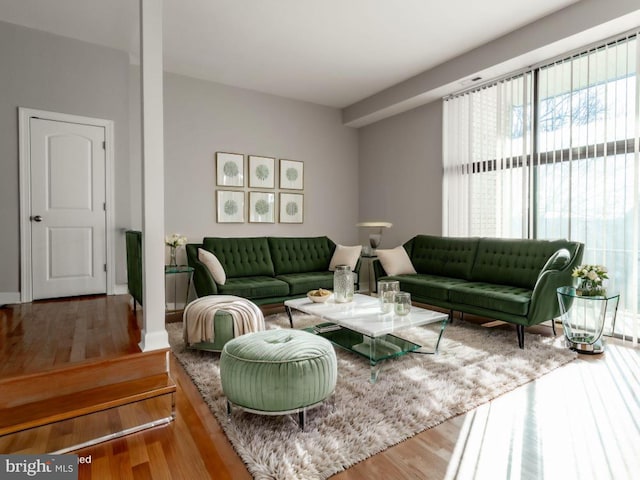 living room featuring hardwood / wood-style flooring