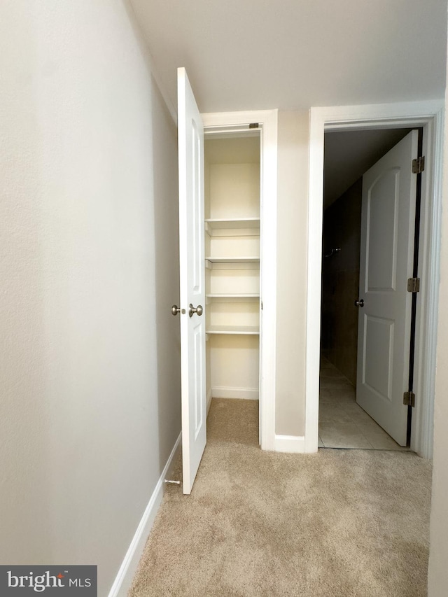 view of closet