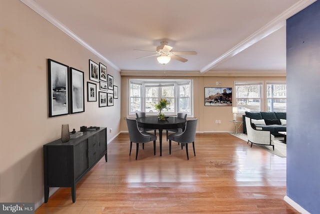 dining room featuring crown molding, ceiling fan, a healthy amount of sunlight, and light hardwood / wood-style flooring