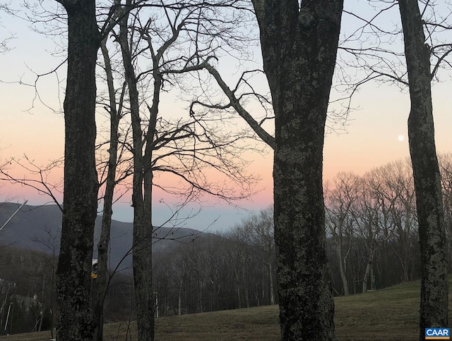 123 Eagles Ct Unit 123, Wintergreen Resort, VA 22967 - view of mountain backdrop with a heavily wooded area