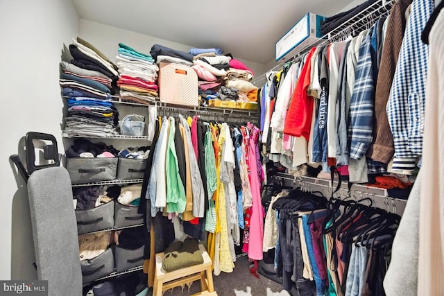 spacious closet featuring carpet