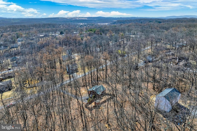 birds eye view of property featuring a mountain view and a view of trees