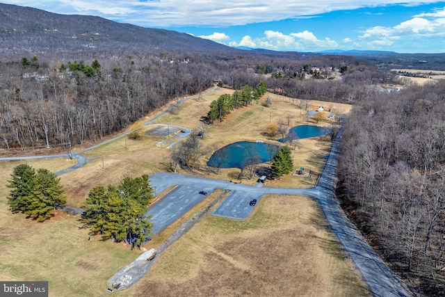 birds eye view of property with a water and mountain view and a view of trees