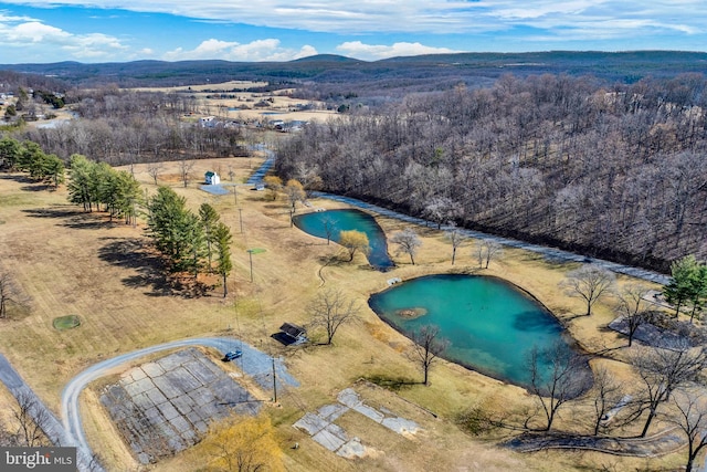 drone / aerial view with a water and mountain view and a view of trees