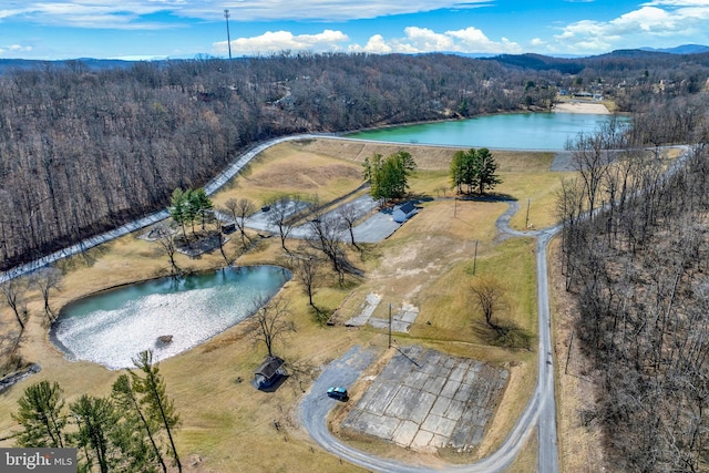 aerial view featuring a water view and a wooded view