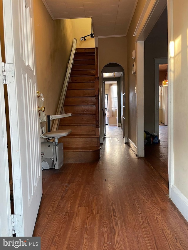 hallway with wood-type flooring and ornamental molding